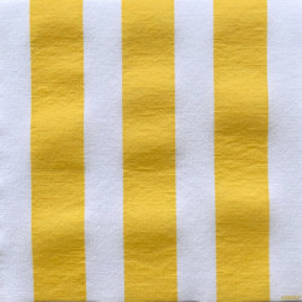 Francoise Paviot Dinner Napkins - Yellow Stripe