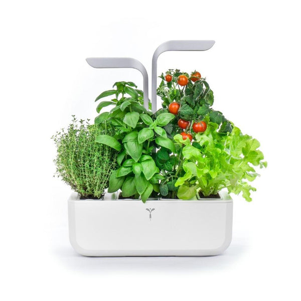 Veritable Smart Indoor Garden | White