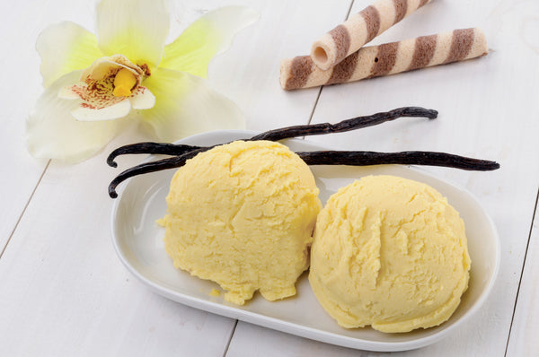 Magimix: Yogurt-Based Vanilla Ice Cream