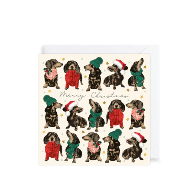 Frank In Sweaters Cards Pack of 6