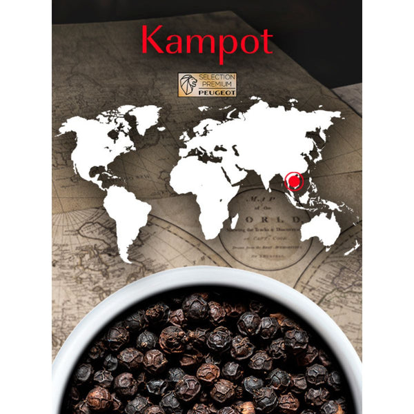 Peugeot Kampot Black Pepper