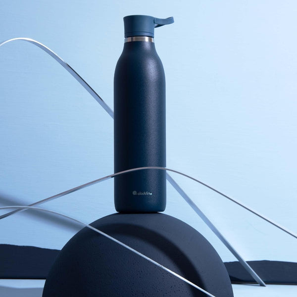 Aladdin Cityloop 600ml Insulated Bottle Black
