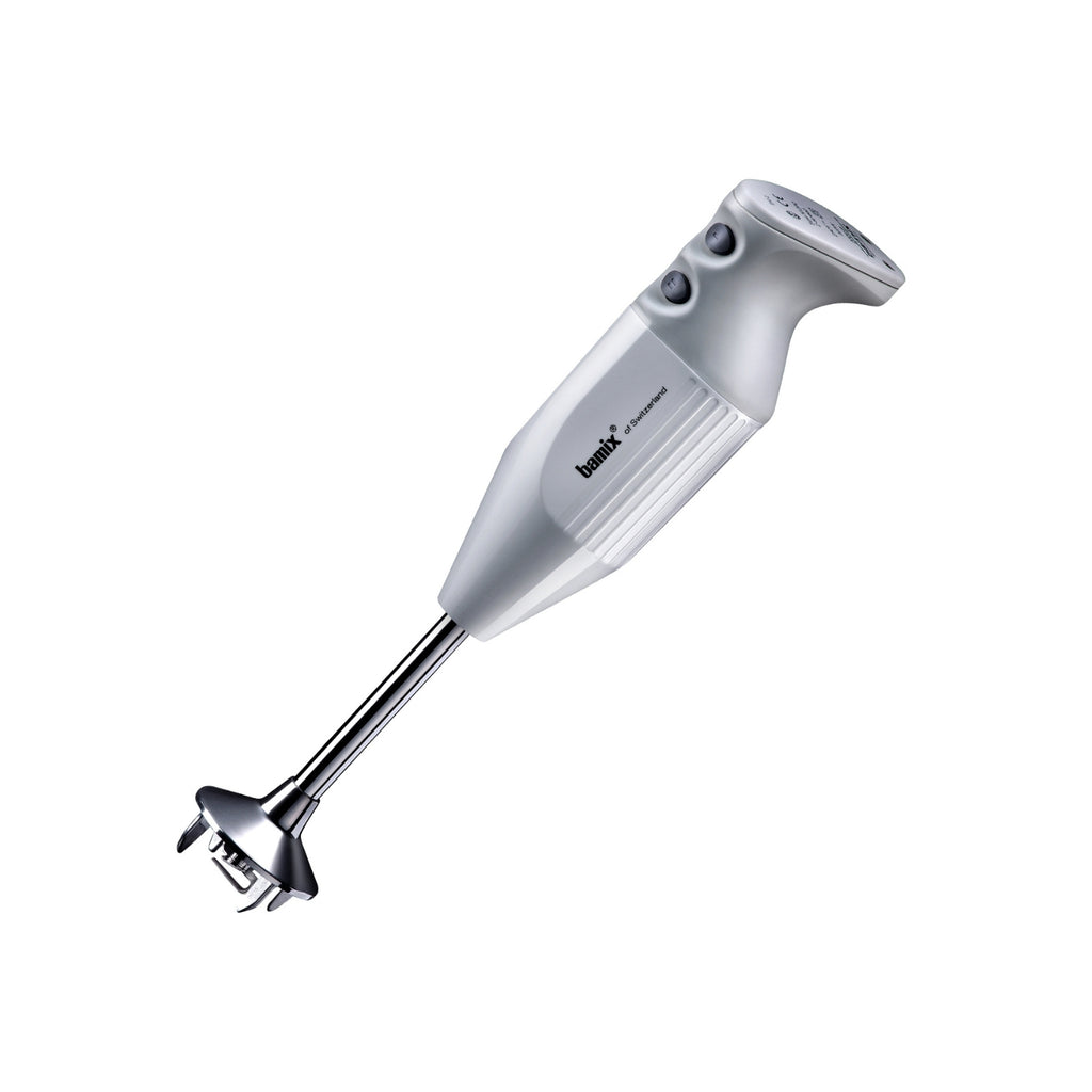 A stick blender with a stainless shaft.