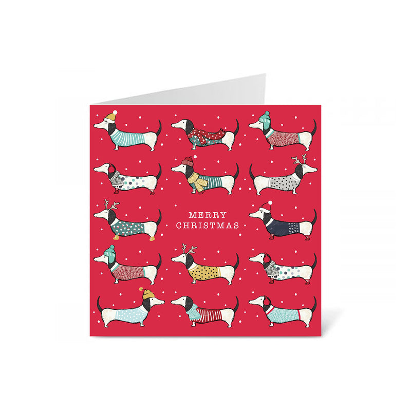 Box of Charity Christmas Cards (Pack of 6) - Sausage Dog Pack