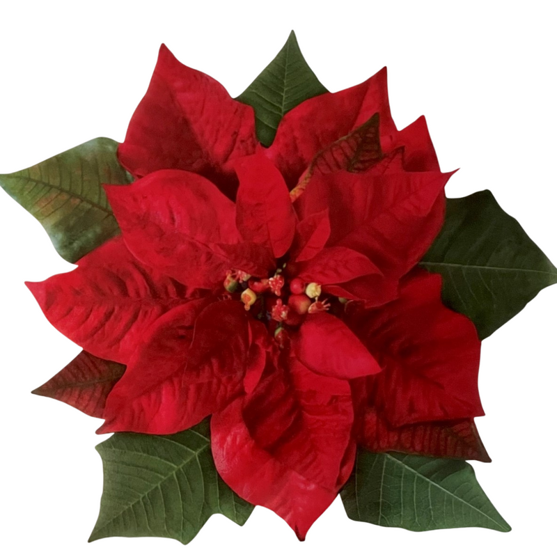 Festive Poinsettia Cheese Leaves (pack of 20)