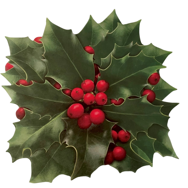 Festive Holly Cheese Leaves (Pack of 20)