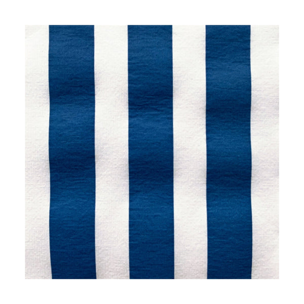 Francoise Paviot Dinner Napkins - Blue Stripe