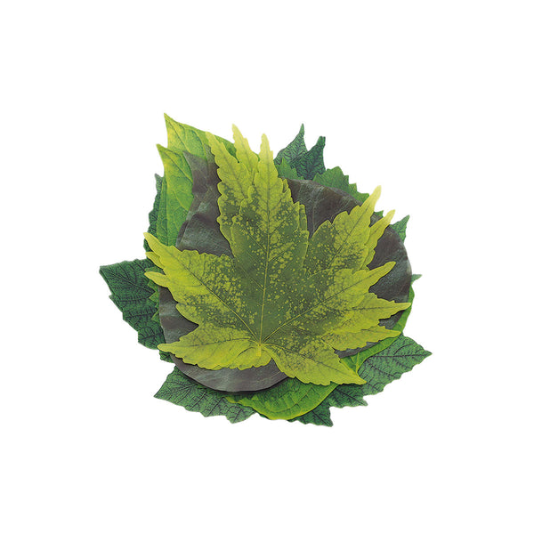 French Cheese Leaves - Spring (Pack of 20)