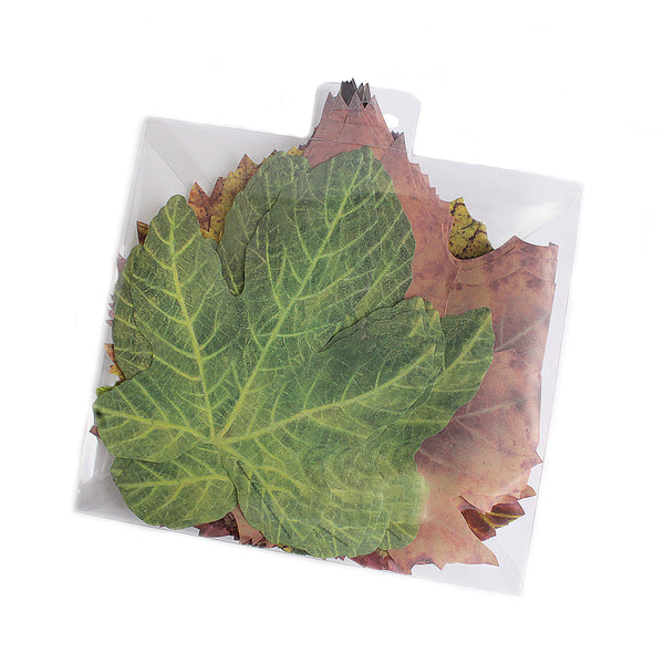 French Paper Cheese Leaves (Pack of 50)