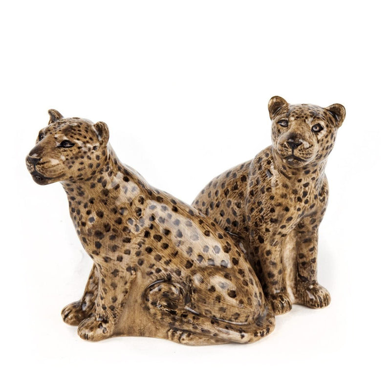 Leopard Salt and Pepper Shaker Set
