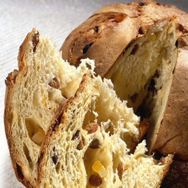 Small Traditional Classico Panettone in Gift Box- 100g