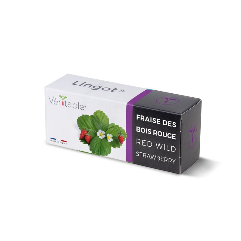 Veritable Lingot - Red Wild Strawberry