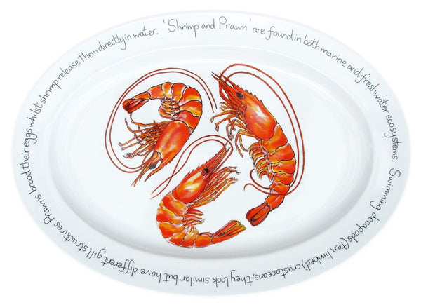 Richard Bramble Oval Plate 39cm - Shrimp
